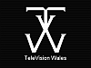 Television Wales Logo