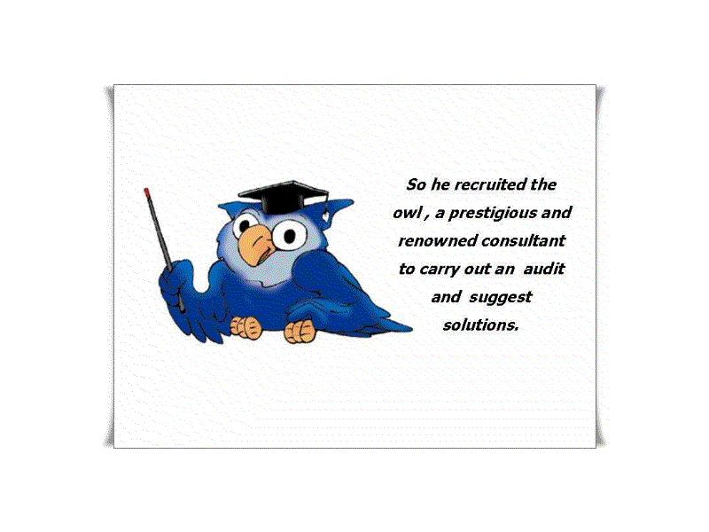 So he recruited the owl, a prestigious and renowned consultant, to carry out an audit and suggest solutions.