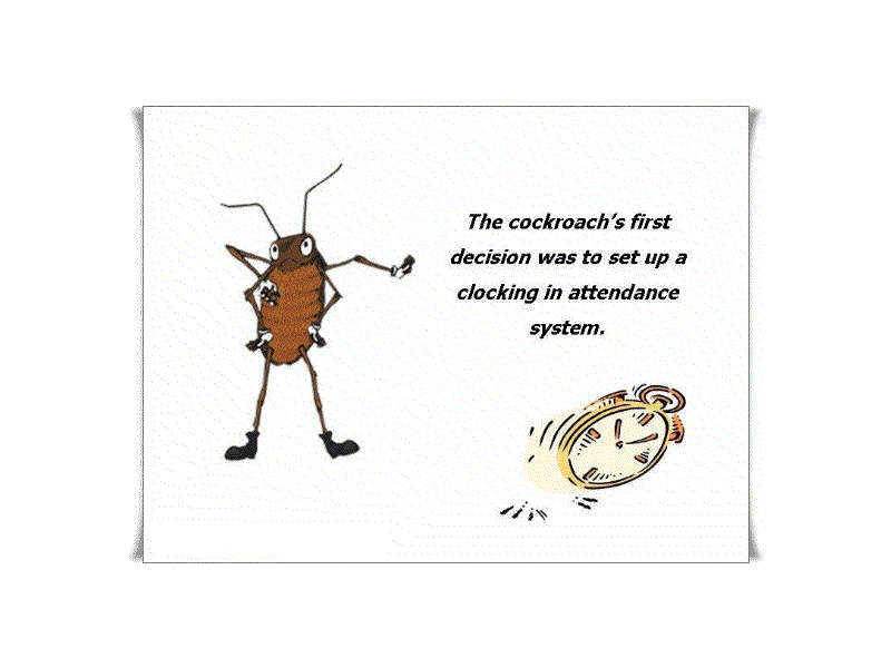 The cockroach's first decision was to set up a clocking-in attendance system