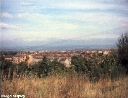 Picture of a housing estate