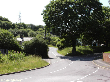 Picture of road junction with oak tree