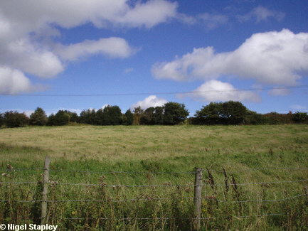 Picture of an earthwork