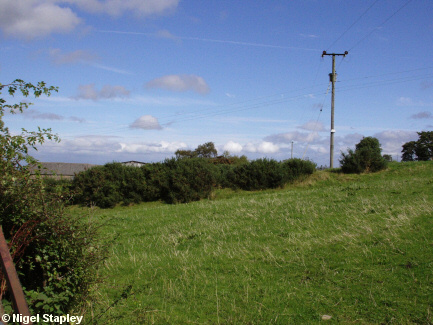 Picture of an earthwork