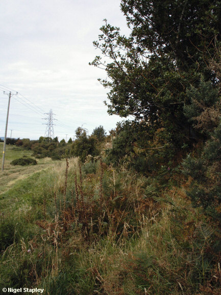 Picture of an earthwork ditch