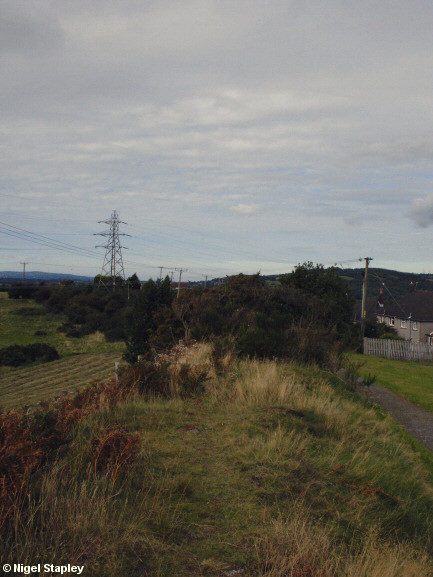 Picture of an earthwork bank