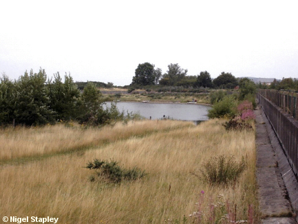 Picture of small lake