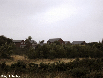 Picture of houses seen through trees