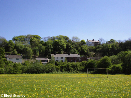 Picture of houses seen from a playing field