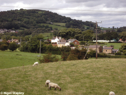 Picture of a group of houses with a mountain in the background