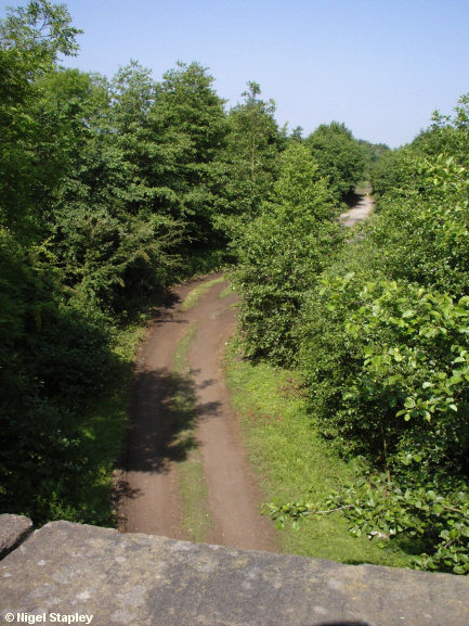 Picture of the track of a pulled-up railway line
