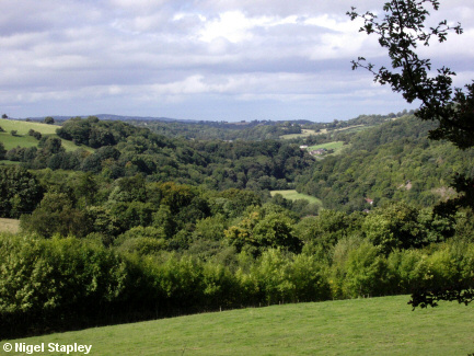 Picture of a deep wooded valley