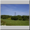 Picture of an electricity pylon on a wooded bank