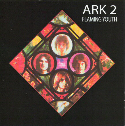 Cover of 'Ark 2' by Flaming Youth