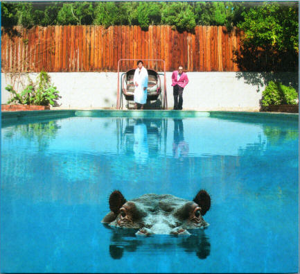 Front cover of 'Hippopotamus' by Sparks