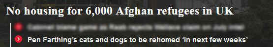 Screenshot from the Independent: headline 1 - 'No housing for 6,000 Afghan refugees in UK'; headline 2 - 'Pen Farthing's cats and dogs to be rehomed 'in next few weeks'