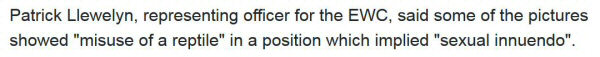 Quote from a newspaper report: 'Some of the pictures showed 'misuse of a reptile'...'
