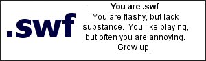 You are .swf. You are flashy, but lack substance. You like playing, but are often annoying. Grow up