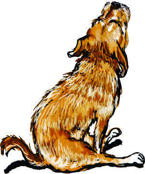Cartoon of the Wee Ginger Dug