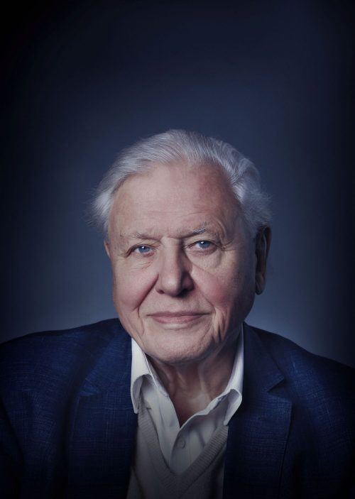 Portrait of David Attenborough