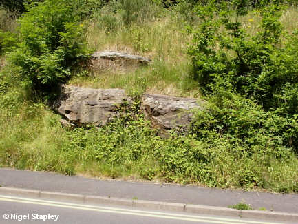 Photo of rock outcrop on a bank at the side of a road