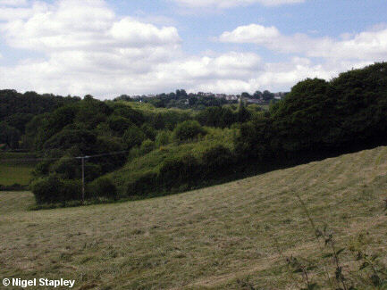 Photo looking up at a village from a wooded valley