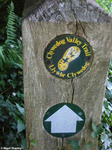 Photo of a post marker for the Clywedog Trail