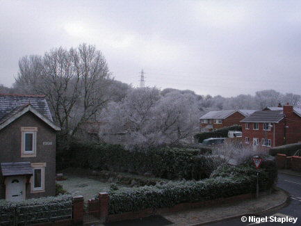 Picture of houses and trees under a heavy frost