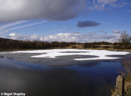 Photo of a small lake half covered in ice