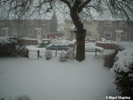 Picture of a front garden under about seven inches of snow